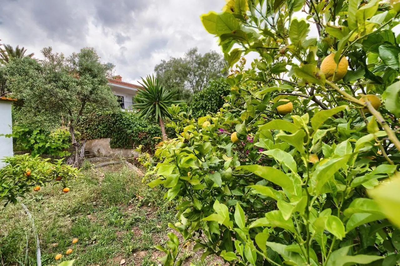 Holidays2Malaga Andalusian House Style With Pool In Alhaurin De La Torre 0*,